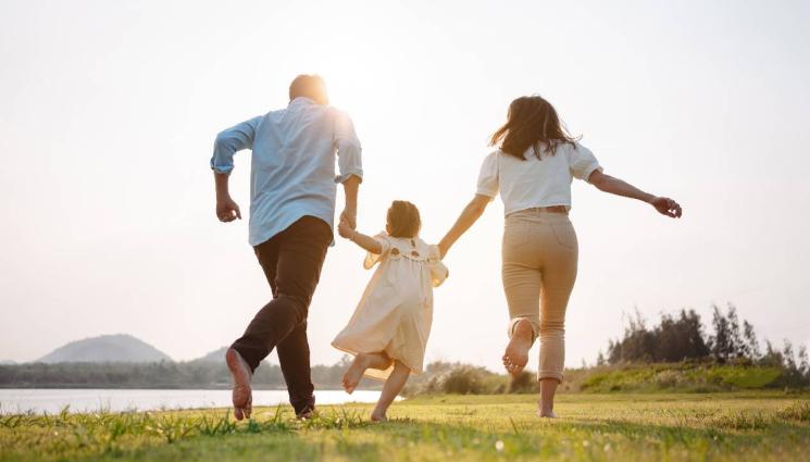 ох на мама - Кои са основните кризи в семейството?