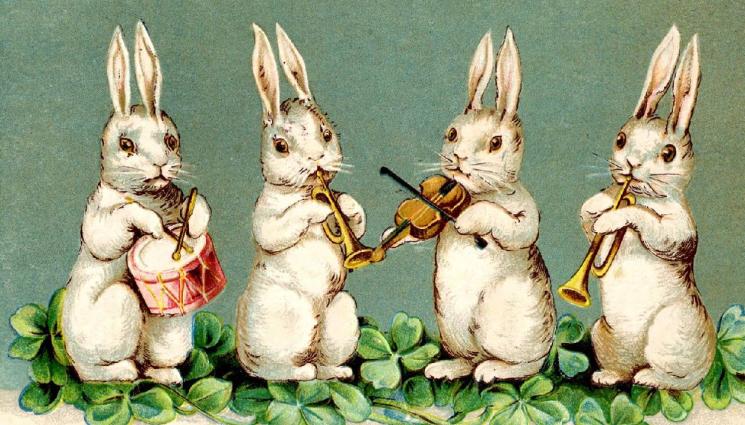 заек - ПОКРАЙ ВЕЛИКДЕН: Как на заека му пораснаха ушите