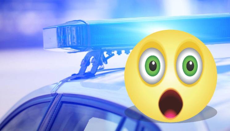 полиция - ЗА НИЩО ГИ НЯМАТ ЧЕНГЕТАТА: Баща и син одраха полицаи!