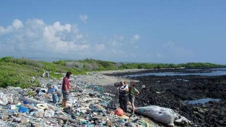 Хаваите се сдобиха с пластмасови камъни и плаж!