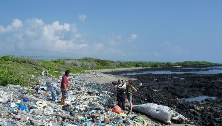 хавай - Хаваите се сдобиха с пластмасови камъни и плаж!