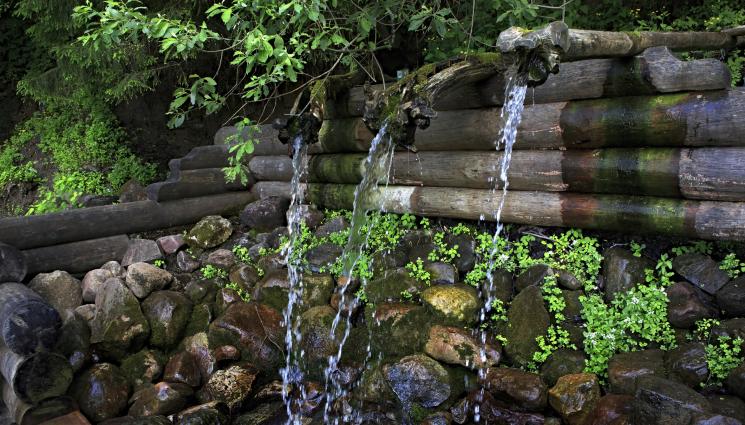 извор - Точно в полунощ потапят деца в чудно лековита вода