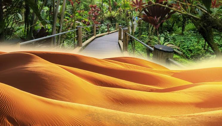 оазис - НЕ Е ЗА ВЯРВАНЕ какво се крие под най-сухата пустиня на Земята