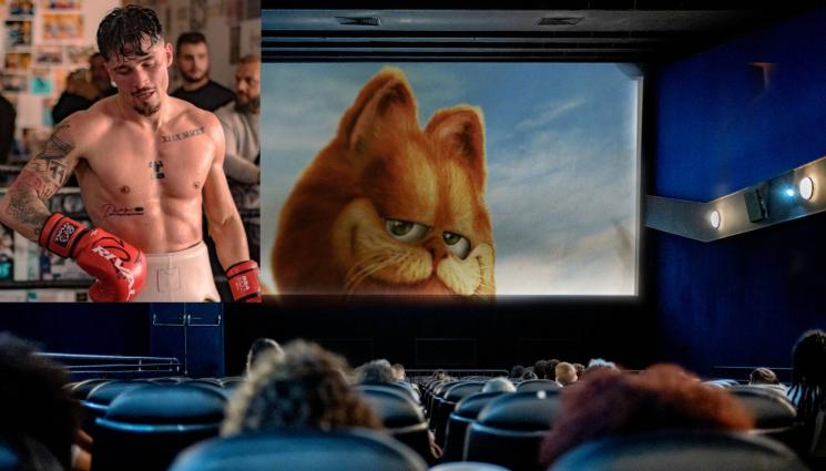 боксьор Гарфилд - КУЛТУРНО ЗАНИМАНИЕ: Боксьор отиде кротко да гледа „Гарфилд“ - и в киното стана мазало (ВИДЕО)