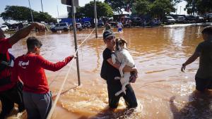 Жертвите на проливните дъждове в Бразилия са вече 85 предаде