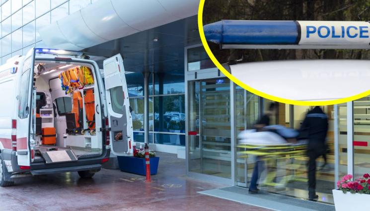 катастрофа линейка - ТРАГЕДИЯ: Ученичка прегази две деца!