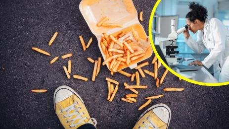 паднала храна