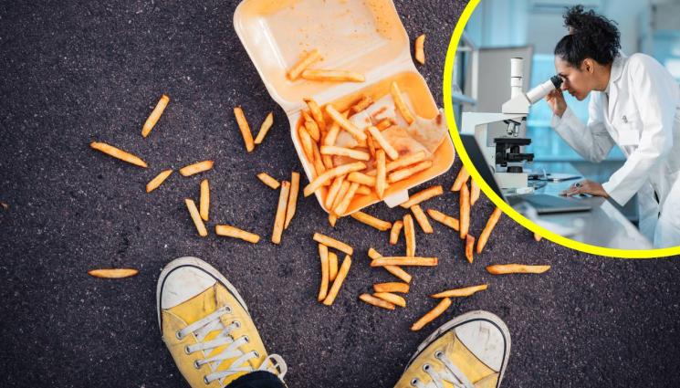 паднала храна - Колко е опасно да ядете паднала на земята храна?