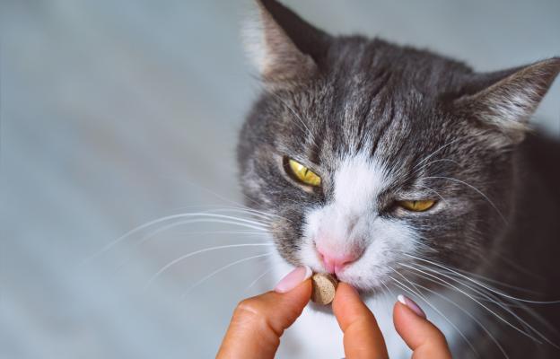 витамини за котки