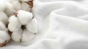 Следи от забранен китайски памук са открити в 19 процента