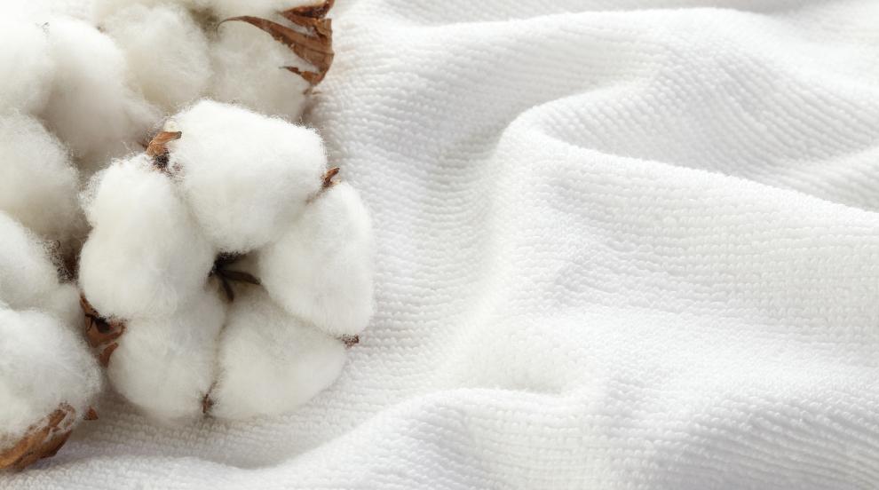Забранен китайски памук е открит в стоки в САЩ и по света