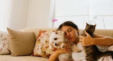 котка и куче