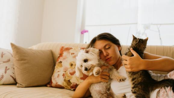 Вечният дебат - котките или кучетата са по-добри домашни любимци?