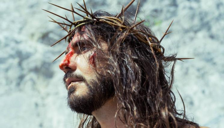 трънен венец - Тръненият венец на Исус зеленеел и след 1000 години! (СНИМКИ)