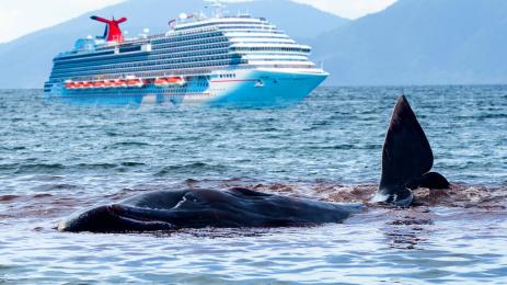 кит круизен кораб