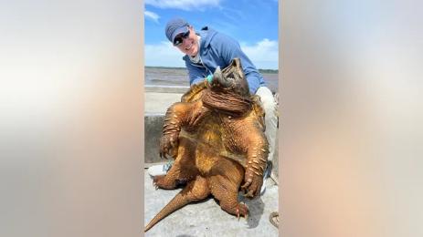 ВМЕСТО ЗЛАТНА РИБКА: Рибар хвана праисторическа костенурка