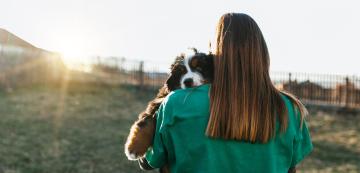 5 стратегии за справяне със силно притежателно куче