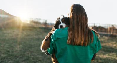 куче защитно