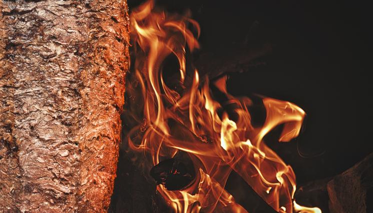 дюнер - ДЮНЕРНА КРИЗА В ГЕРМАНИЯ: Поискаха правителството да вземе мерки