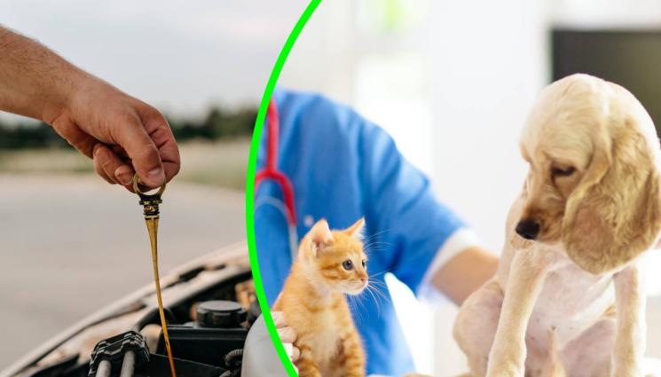 ааааа - ЗАБРАНА: Без автосервизи и кабинети в блока!