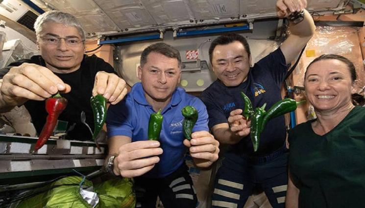 чушки в космоса - ГОРИ, ТА СЕ НЕ ТРАЕ: БГ люти чушки литват в Космоса!