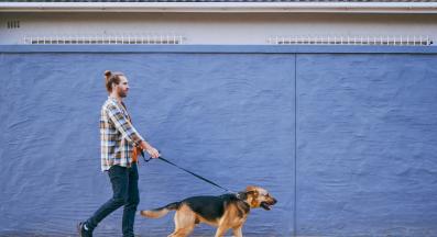 куче човек разходка