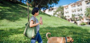 7 съвета за приятна разходка с кучето ви