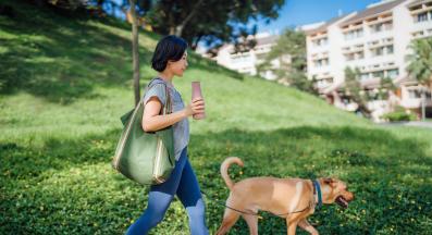 куче човек разходка