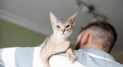 котка и стопанин