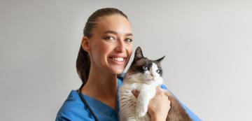 10 професии за хората, които обожават котки