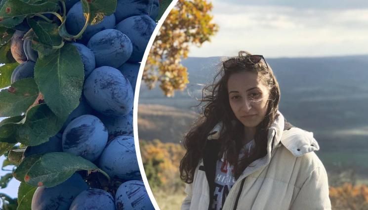 Лиляна Матева - Агро Телеграф: Студентка по социология гледа градина със сливи
