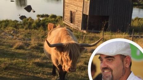 Стоилко Апостолов