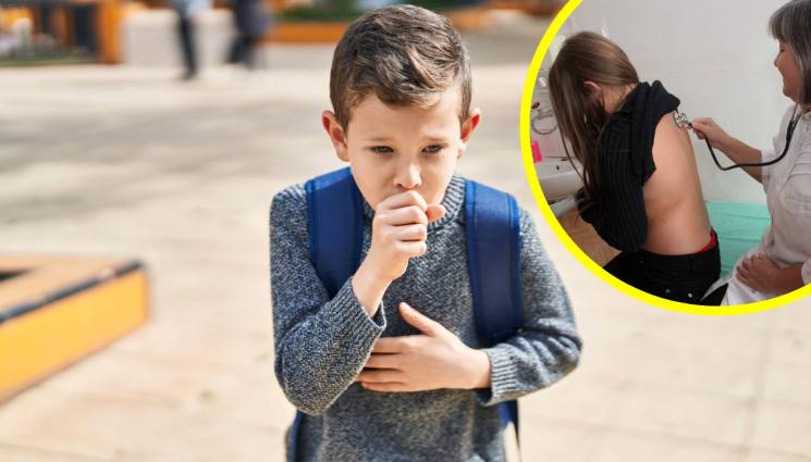 кашлица - МЕРКИ СРЕЩУ ЗАРАЗАТА: На тест след 5 дни пристъпна кашлица!