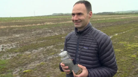 скален прах