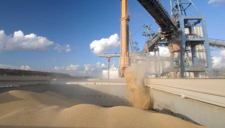 агро - Агро Телеграф: ЕС внася най-много селскостопанска продукция от Бразилия, изнася за Острова