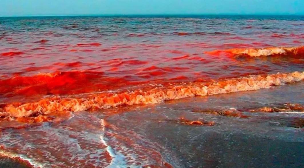 еко катастрофа