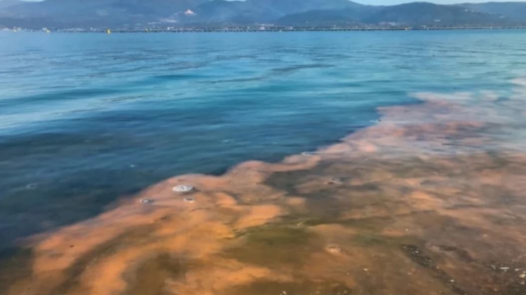 еко катастрофа