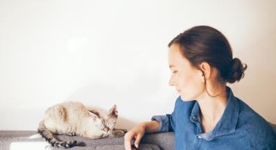 домашна котка