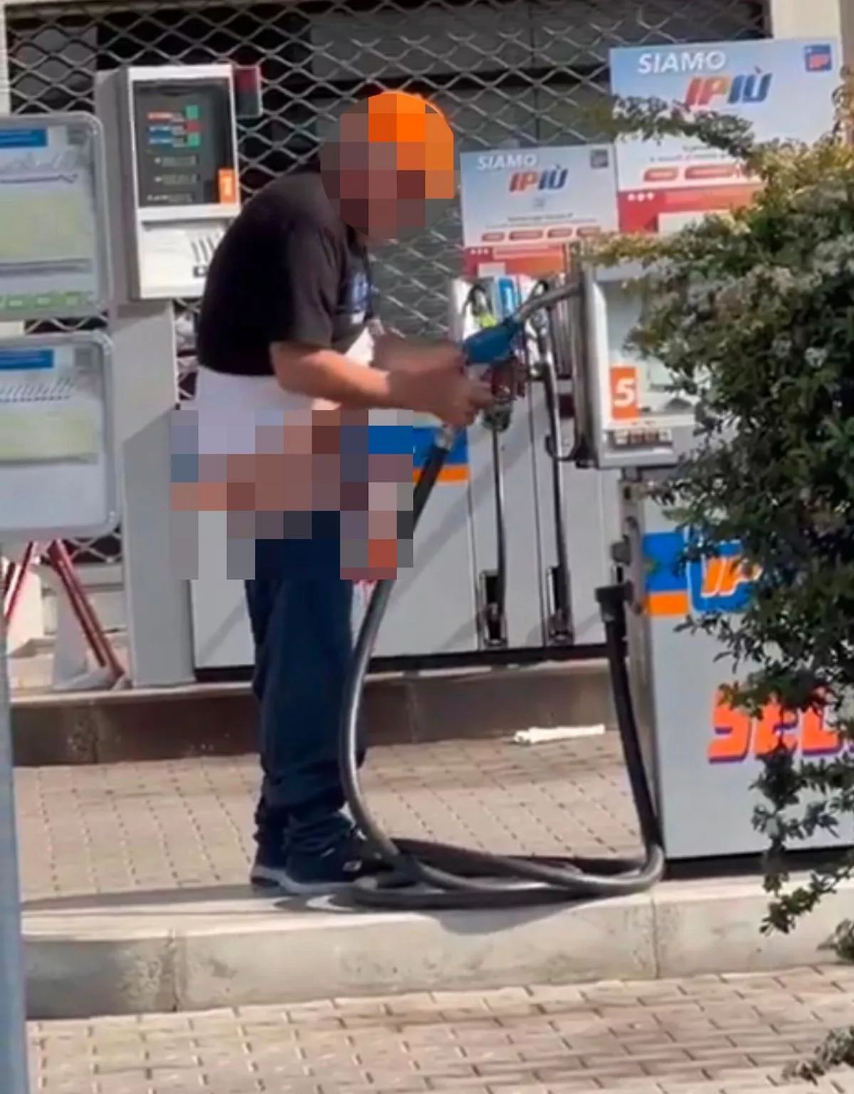 бензинов безсрамник