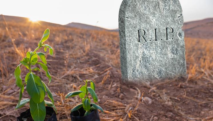 надгробен камък - ИСТИНСКИ ТРИЛЪР: Тийнейджър погреба жив 62-годишен мъж! (ВИДЕО)