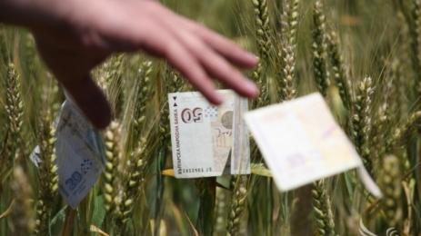 СХЕМА ЗА МИЛИОНИ: Земеделци точили еврофондове!