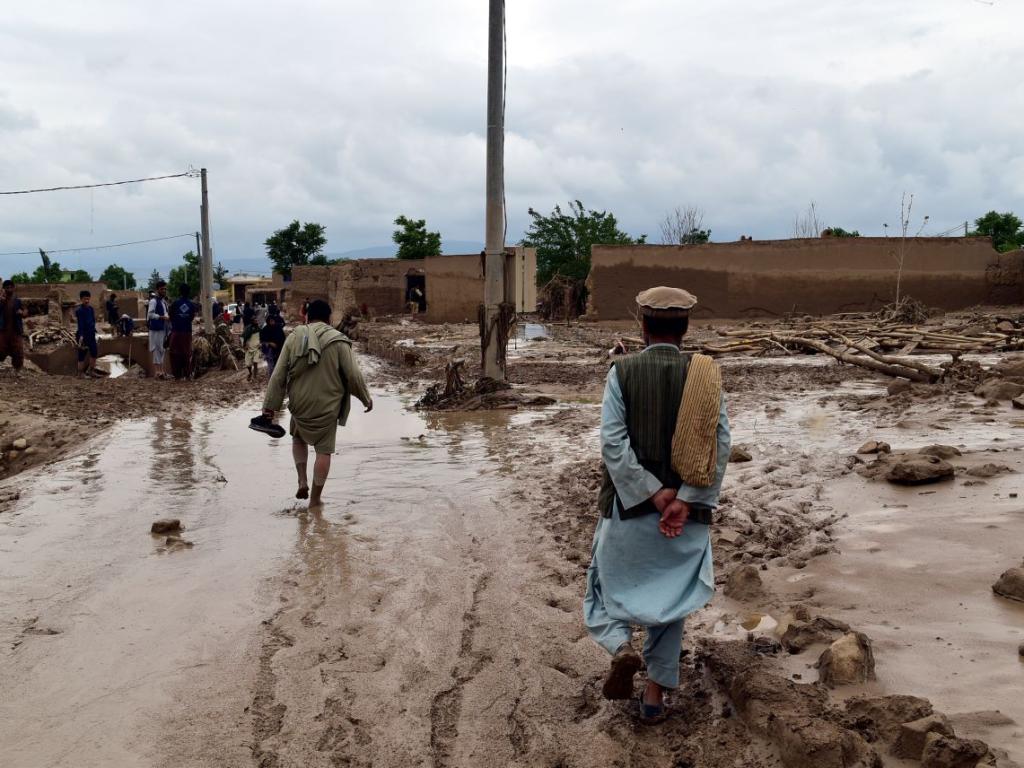 Най малко 50 души са загинали в резултат на проливни дъждове