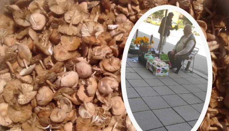 челядинка - ПО ПЪТЯ ДО ПАЗАРА: Челядинката скача най-малко с 30 лева