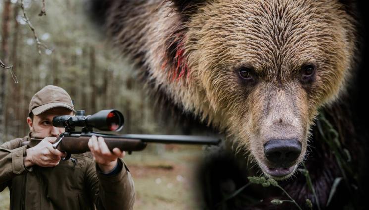 мечка ловец - Мечка нападна ловец, спасяват го с хеликоптер
