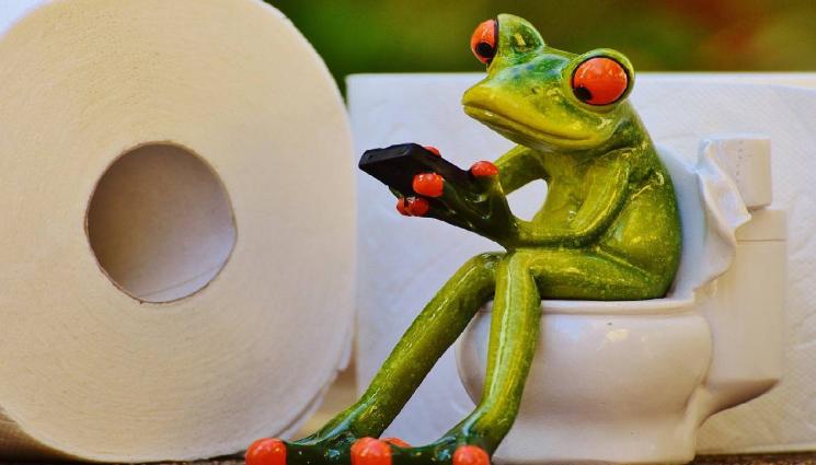 тоалетна - УЧЕНИТЕ БИЯТ ТРЕВОГА: Тоалетната хартия опасна, а някои дори си я похапват! (ВИДЕО)