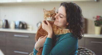 домашна котка