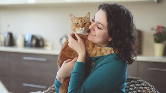14 уникални начина, по които котката показва, че обича някого