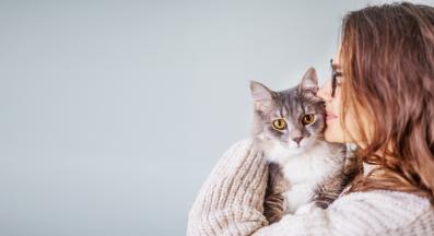 домашна котка