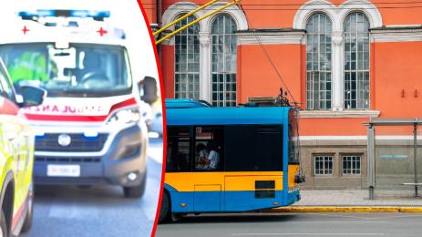 тролей линейка