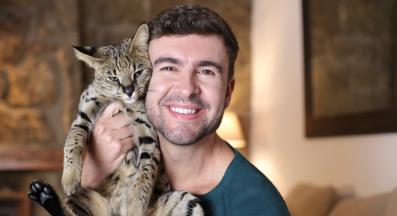 котка Савана